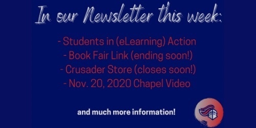 Newsletter 11 20