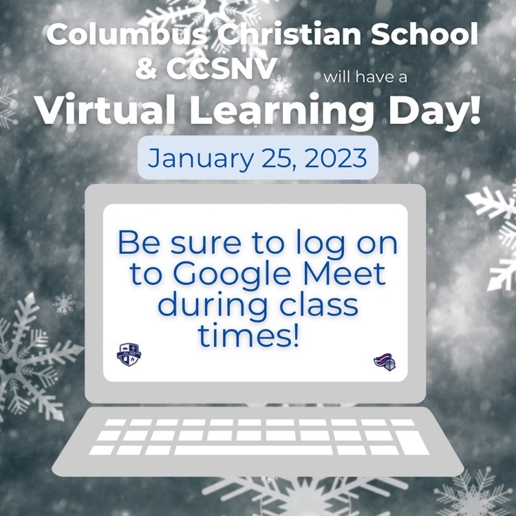 virtual learning 12523